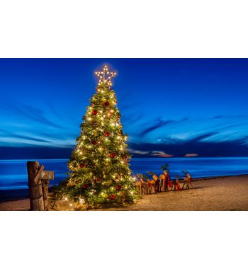 Новогодние туры от Zero Max Tour — встречайте Новый год ярко!